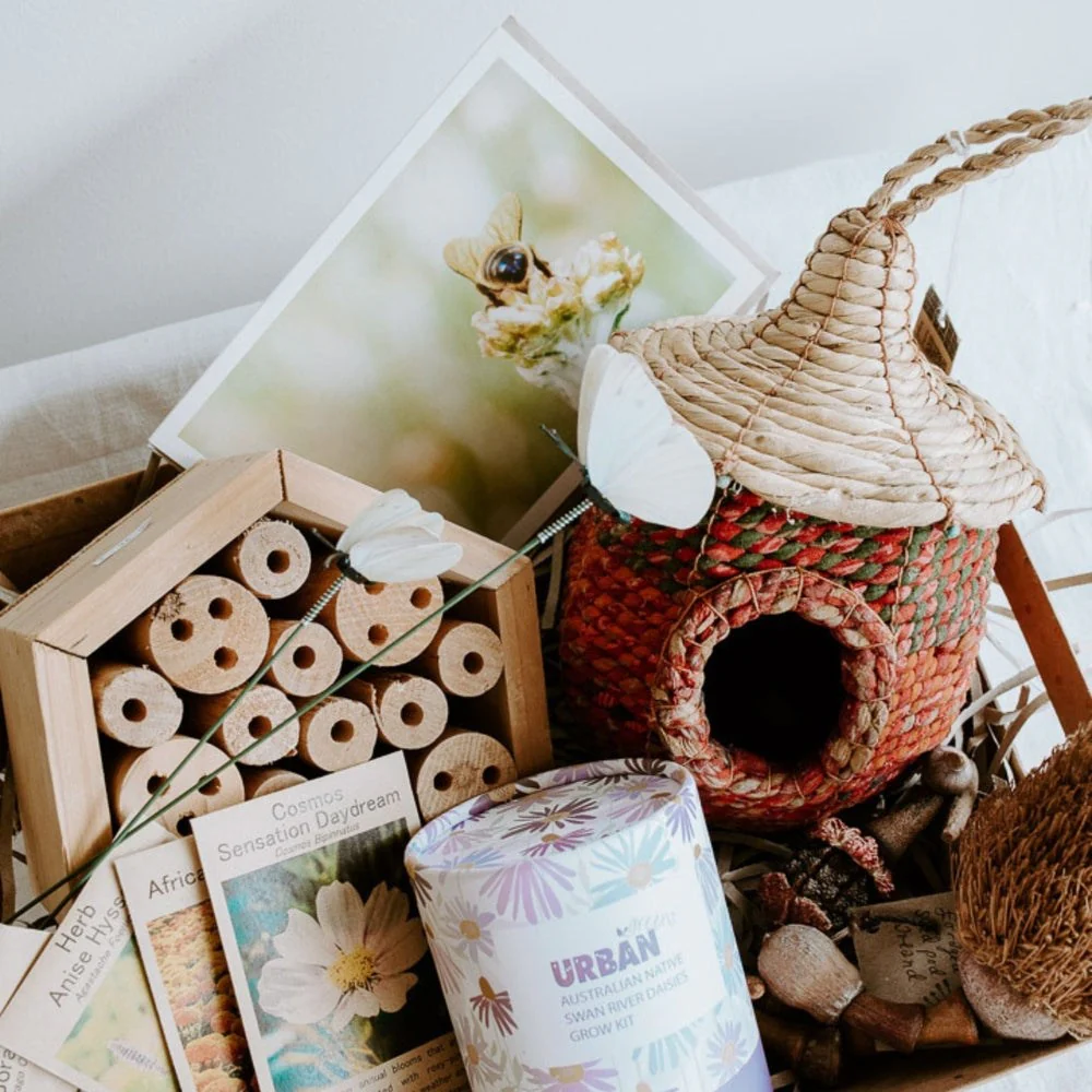 Insect Hotels & Bird Houses