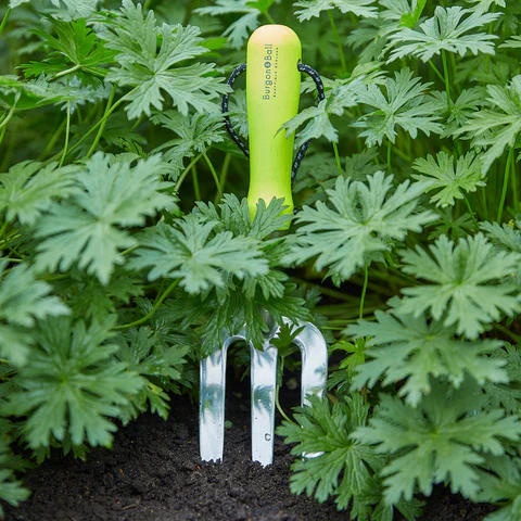 Top Trending Eco Products!
